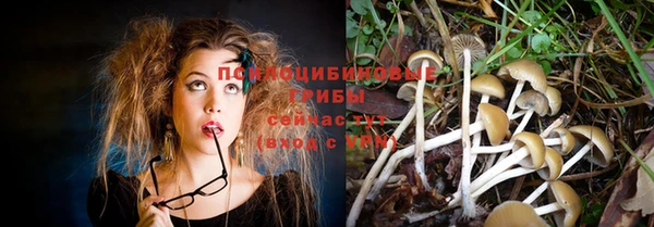 МДПВ Алзамай