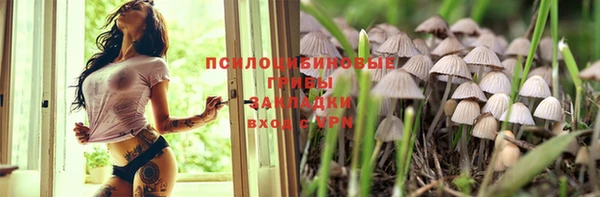 дмт Алексин